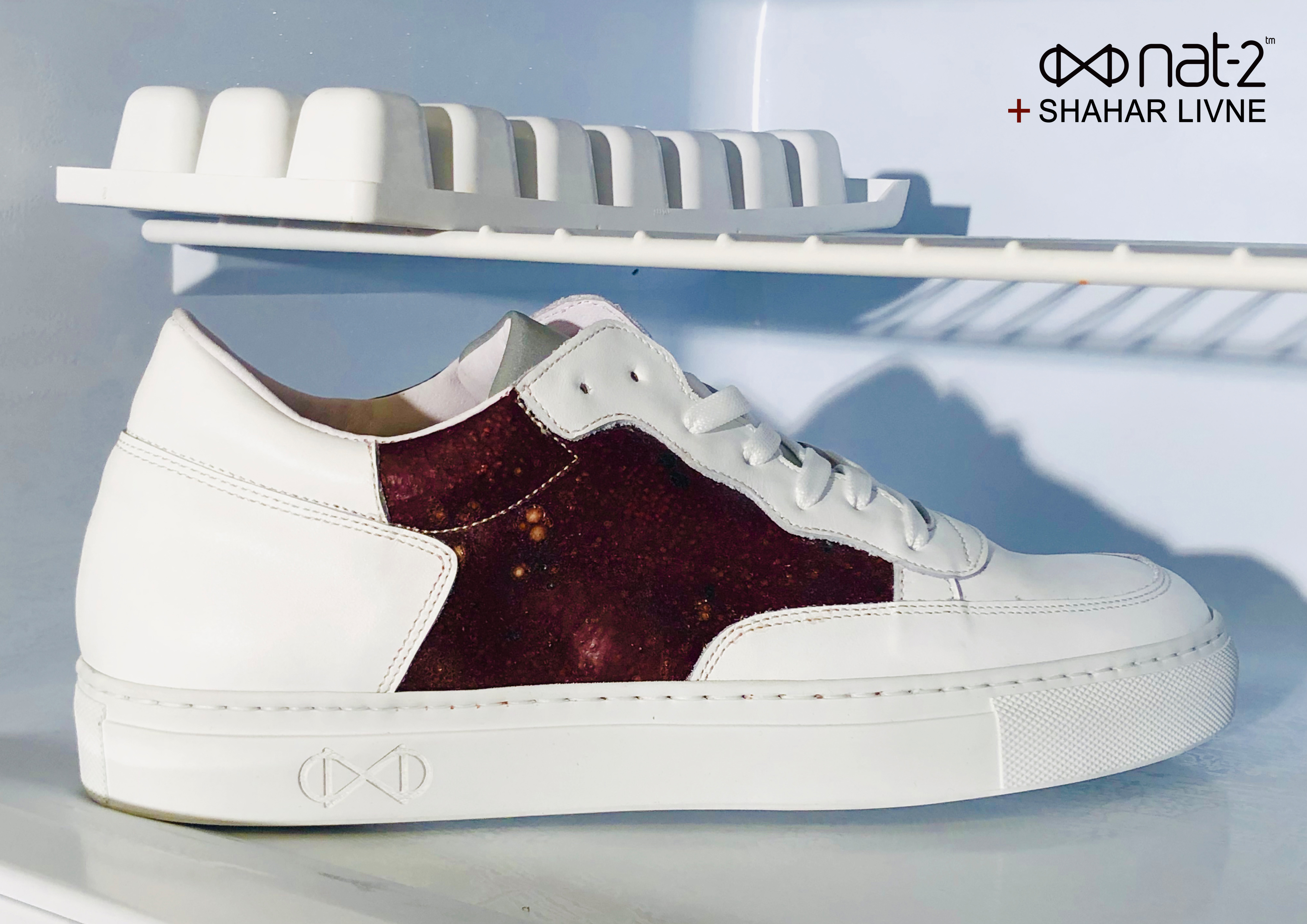 nat-2 x Shahar Livne blood sneakers cooler (1)